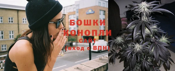 соль ск Бронницы
