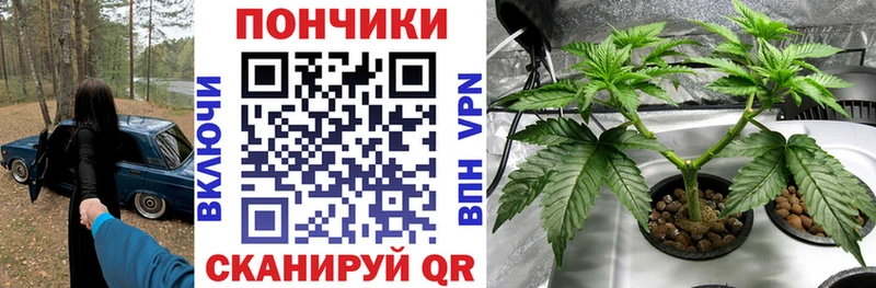 Канабис конопля  наркошоп  Афипский 